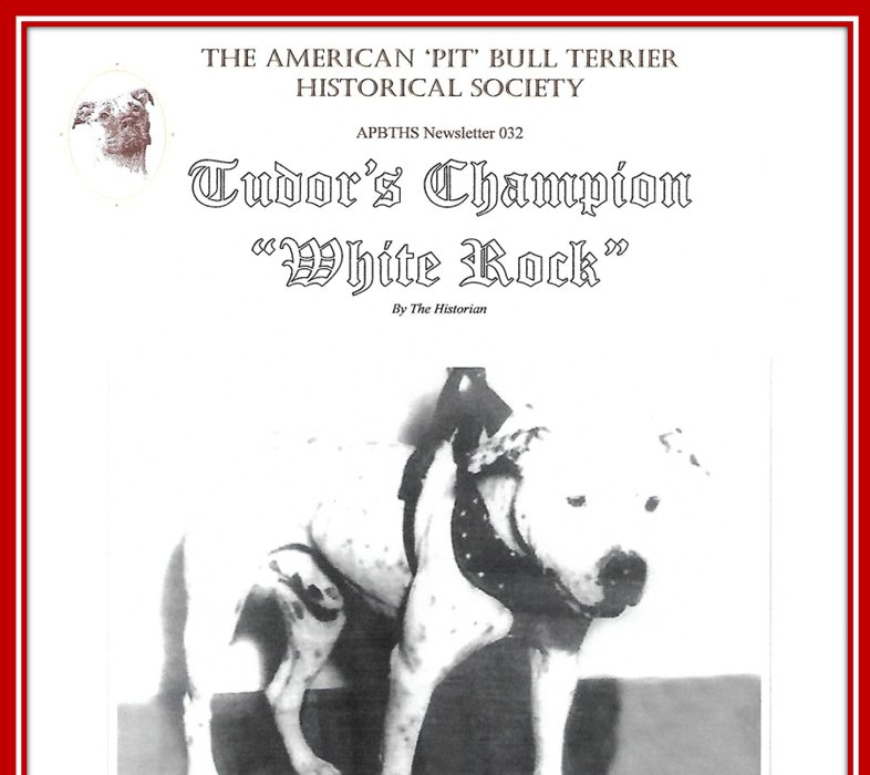 Tudors Ch White Rock