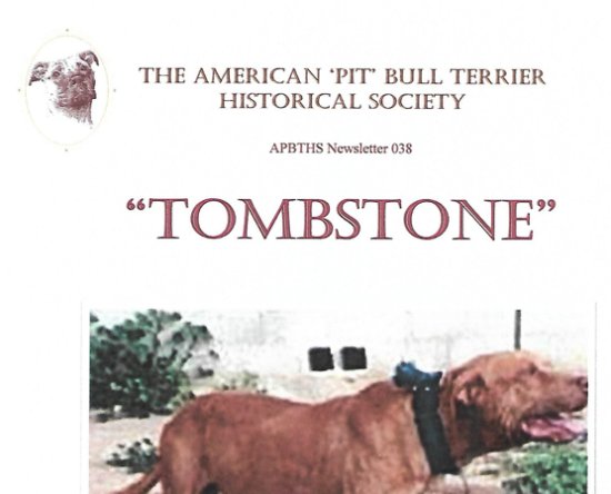 Newsletter 038 Tombstone