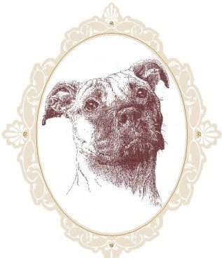 American 'Pit' Bull Terrior Historical Society dog names Tonky