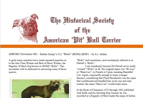 APBTHS newsletter 02