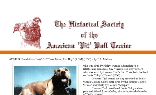 APBTHS newsletter 03